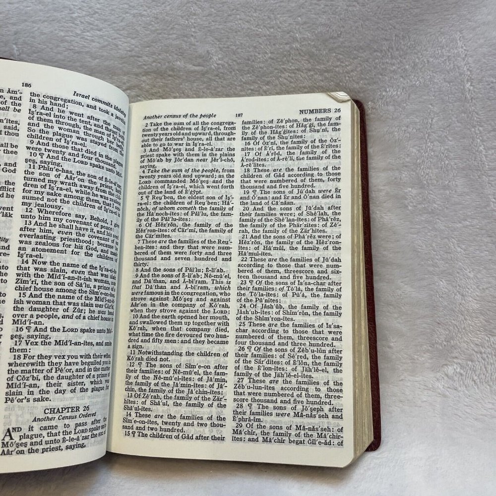 Holy Bible King James Dictionary Concordance Holman Red Letter Version Burgundy - Picture 8 of 12